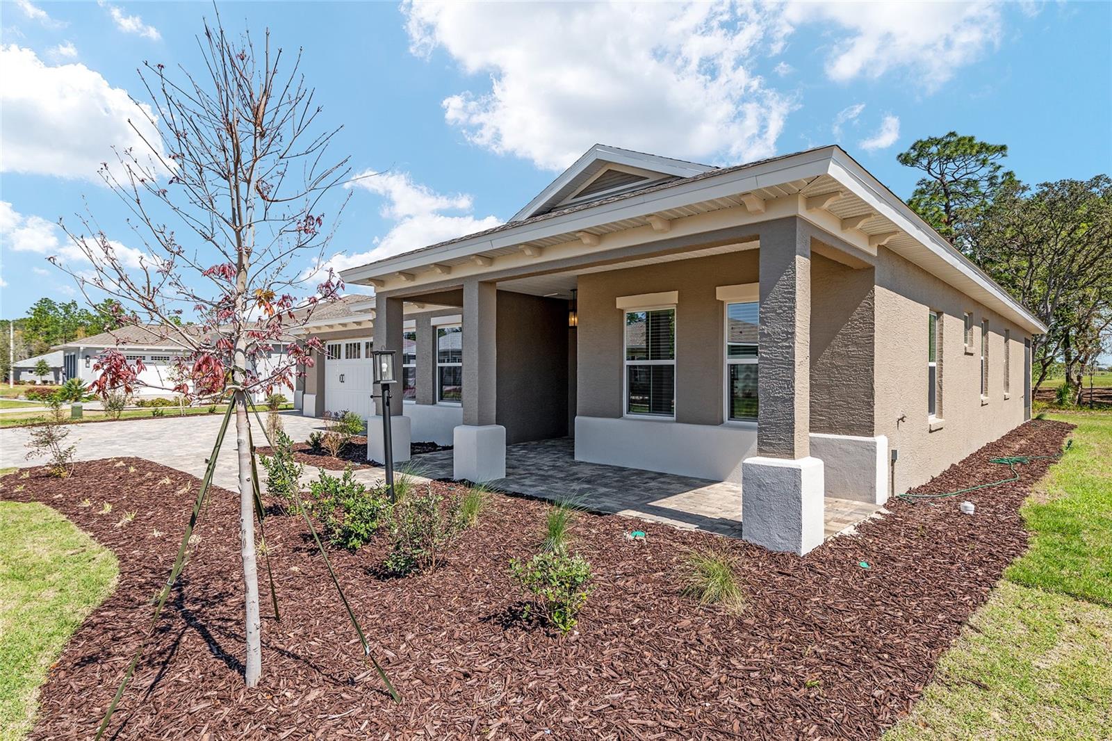 10815 SW 96TH LN, OCALA, FL, 34481