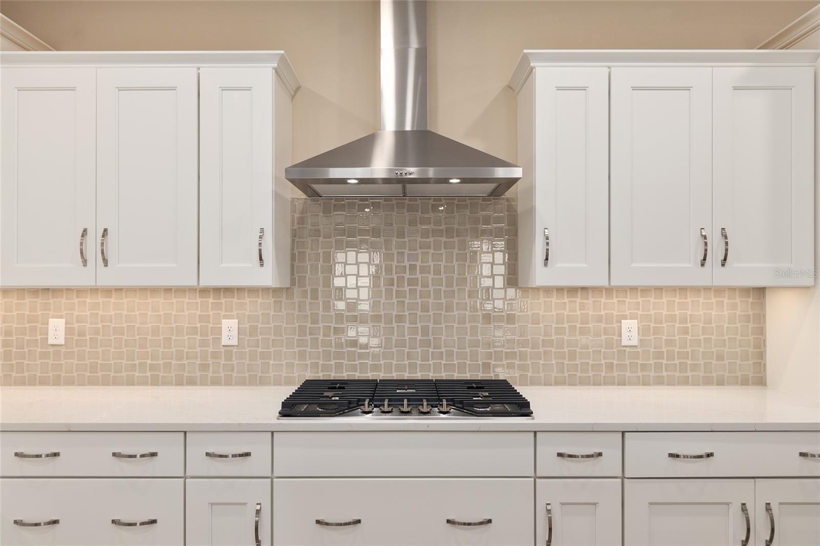 10815 SW 96TH LN, OCALA, FL, 34481