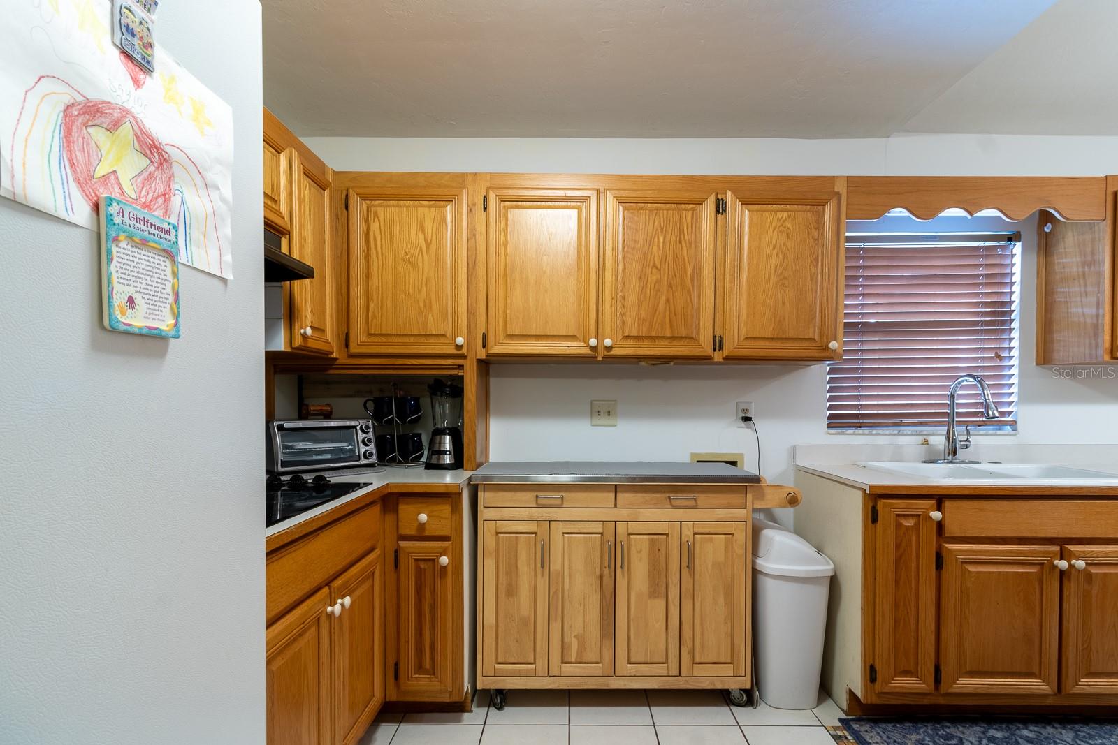 300 SW BRIGHTON CT, FORT WHITE, FL, 32038