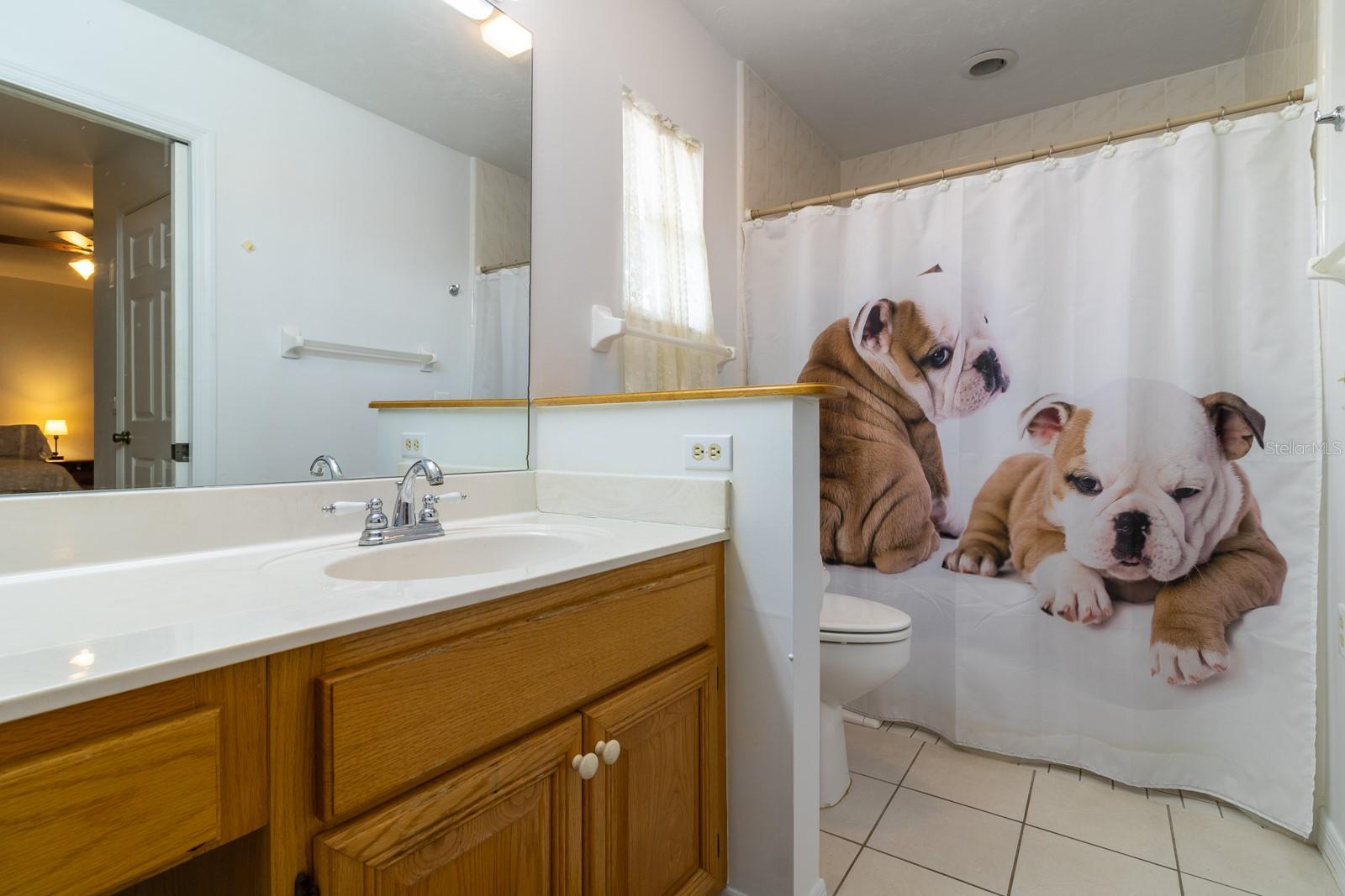 300 SW BRIGHTON CT, FORT WHITE, FL, 32038