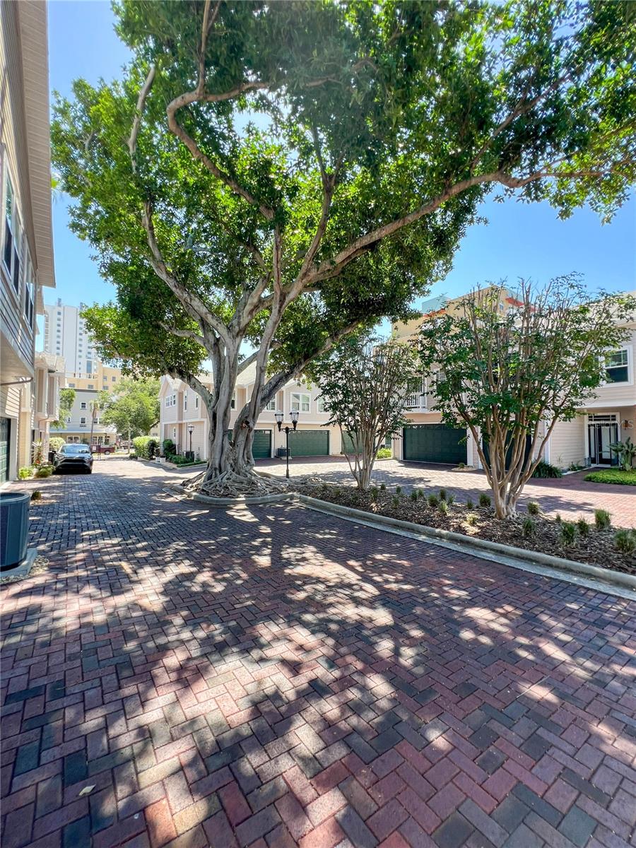 350 2ND ST N #8, ST PETERSBURG, FL, 33701