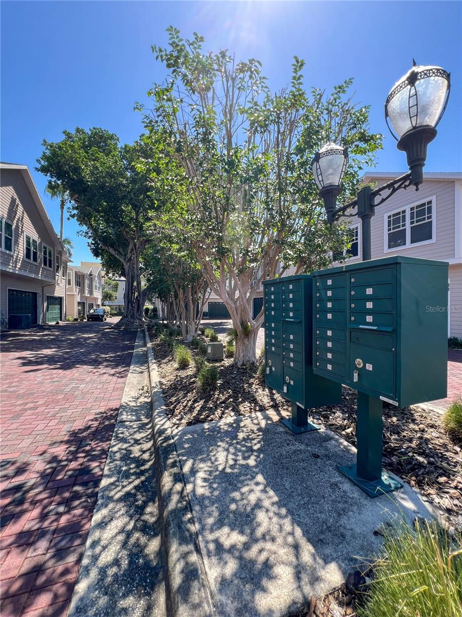 350 2ND ST N #8, ST PETERSBURG, FL, 33701