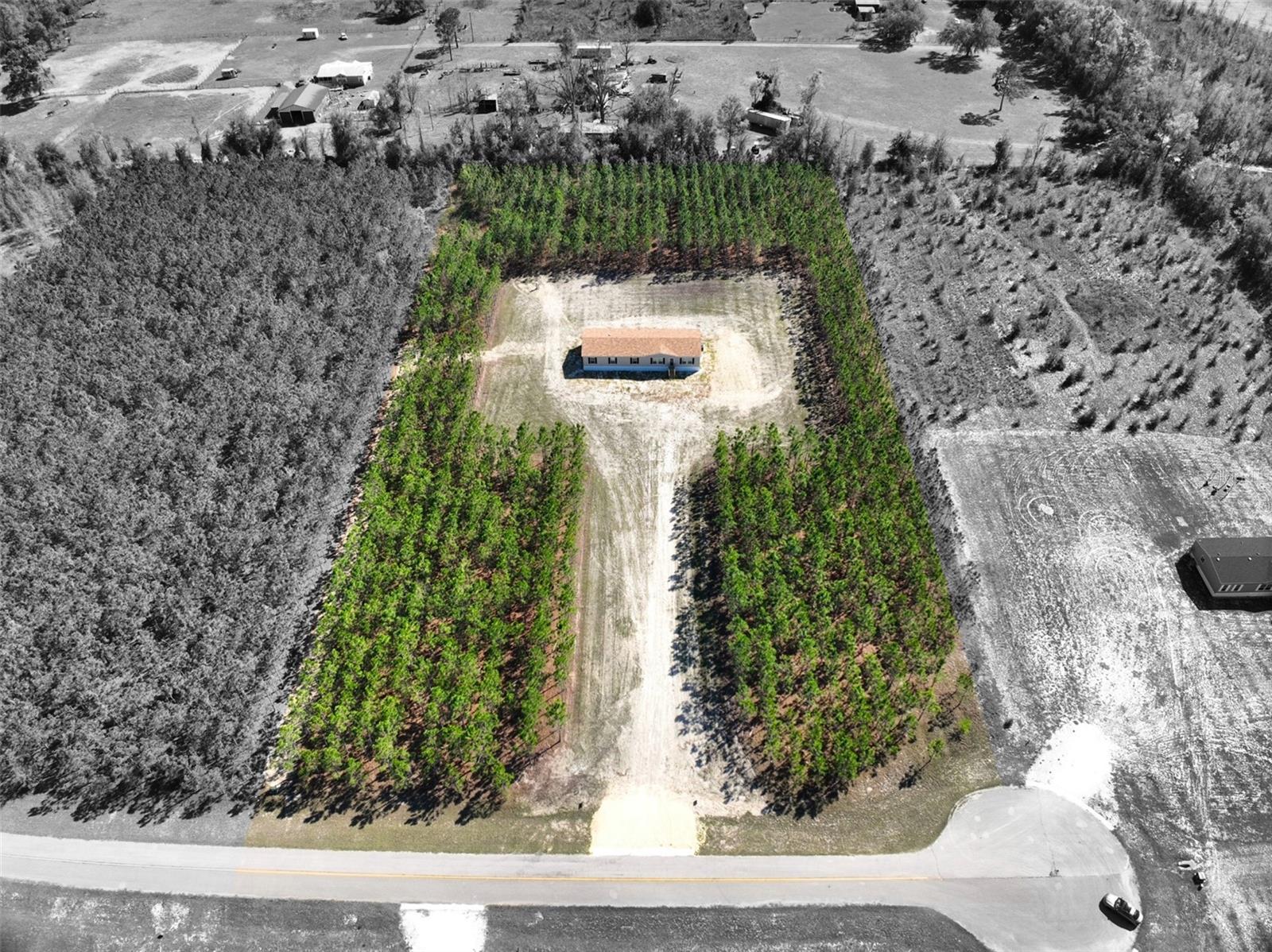 20774 78TH TRCE, LIVE OAK, FL, 32060