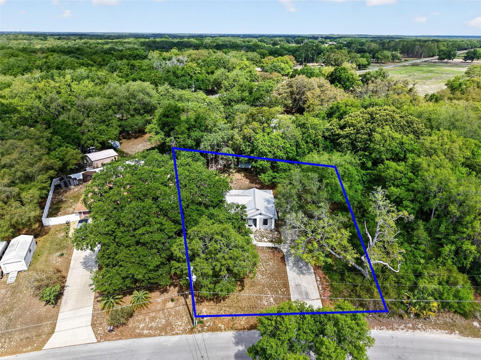 40248 ORANGE CIR, LADY LAKE, FL, 32159