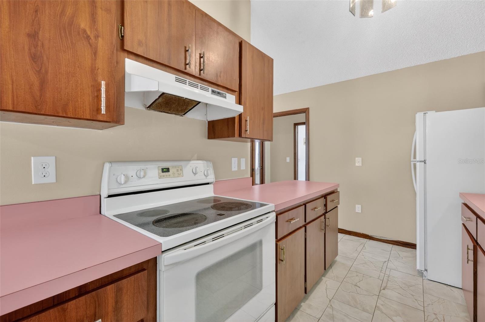 40248 ORANGE CIR, LADY LAKE, FL, 32159