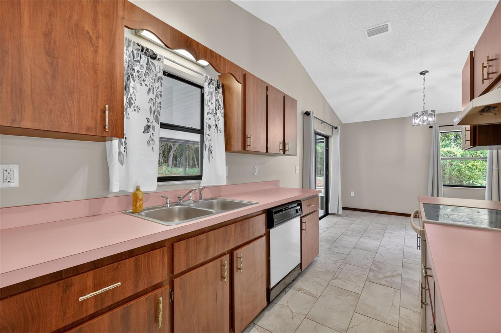 40248 ORANGE CIR, LADY LAKE, FL, 32159