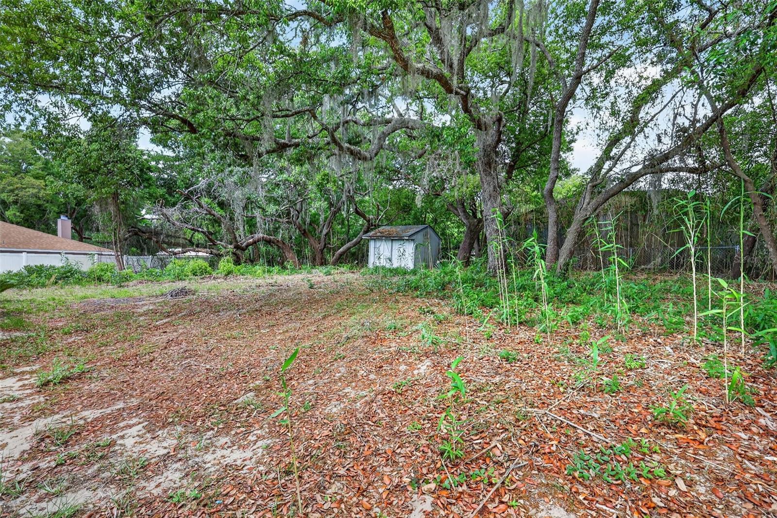 40248 ORANGE CIR, LADY LAKE, FL, 32159