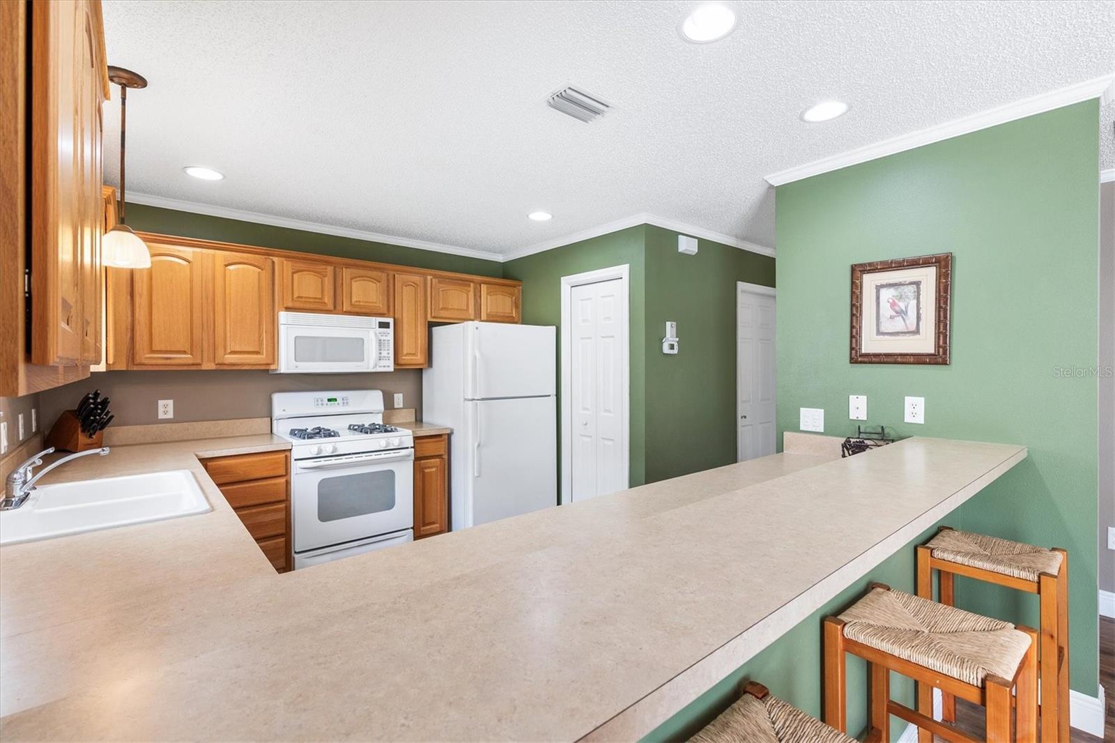 979 SMYRNA ST, THE VILLAGES, FL, 32162