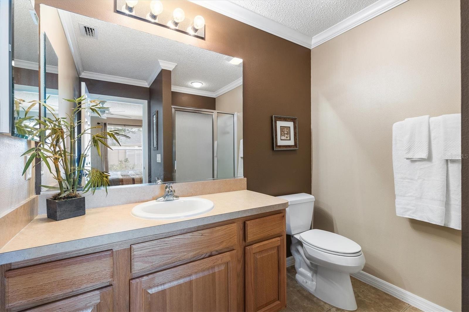 979 SMYRNA ST, THE VILLAGES, FL, 32162