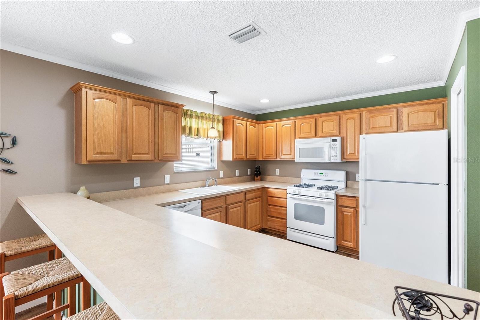 979 SMYRNA ST, THE VILLAGES, FL, 32162