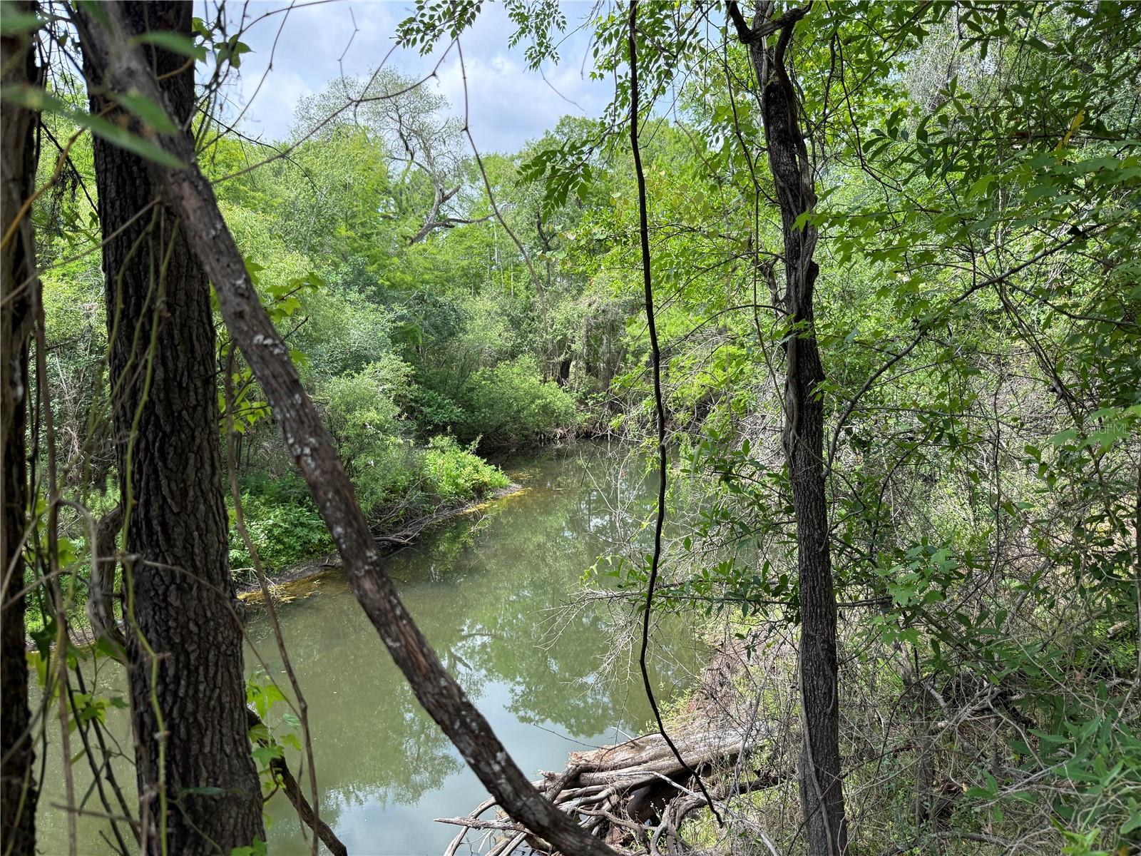 3205 PARK DR, DADE CITY, FL, 33523