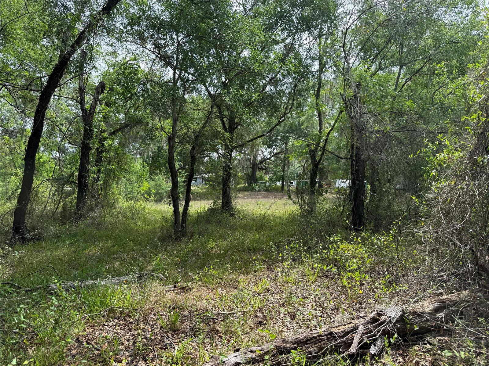 3205 PARK DR, DADE CITY, FL, 33523