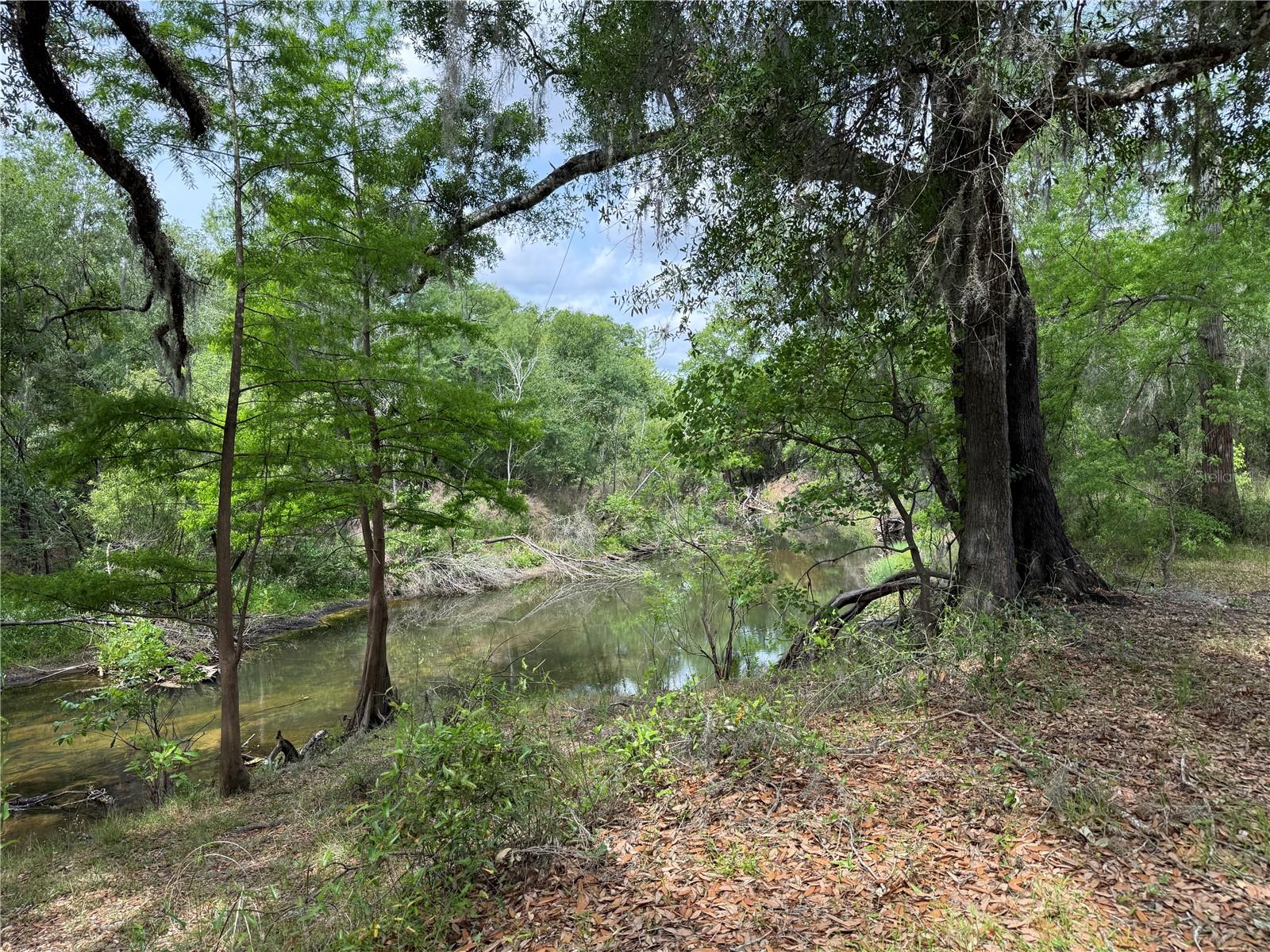 3205 PARK DR, DADE CITY, FL, 33523