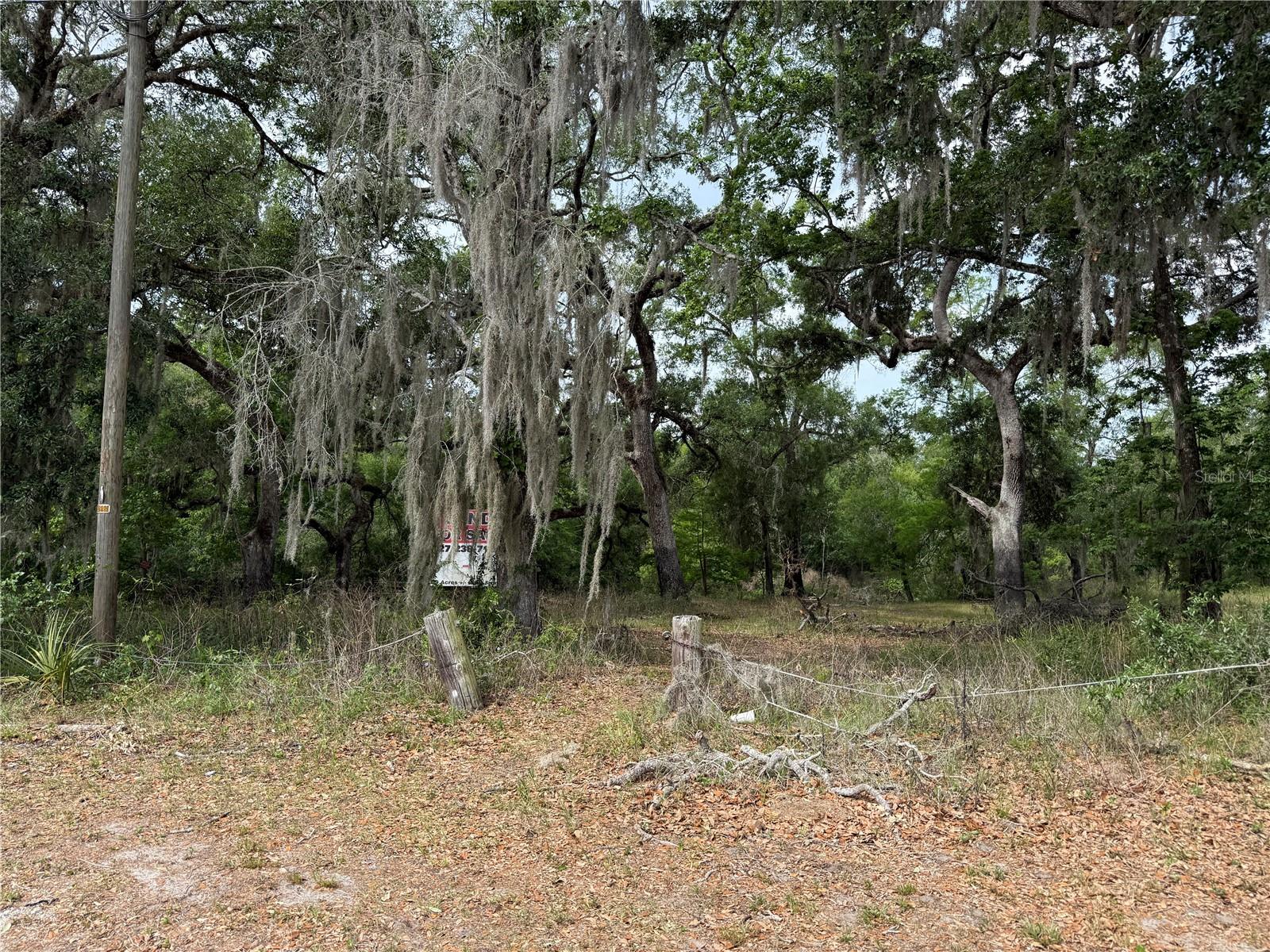 3205 PARK DR, DADE CITY, FL, 33523