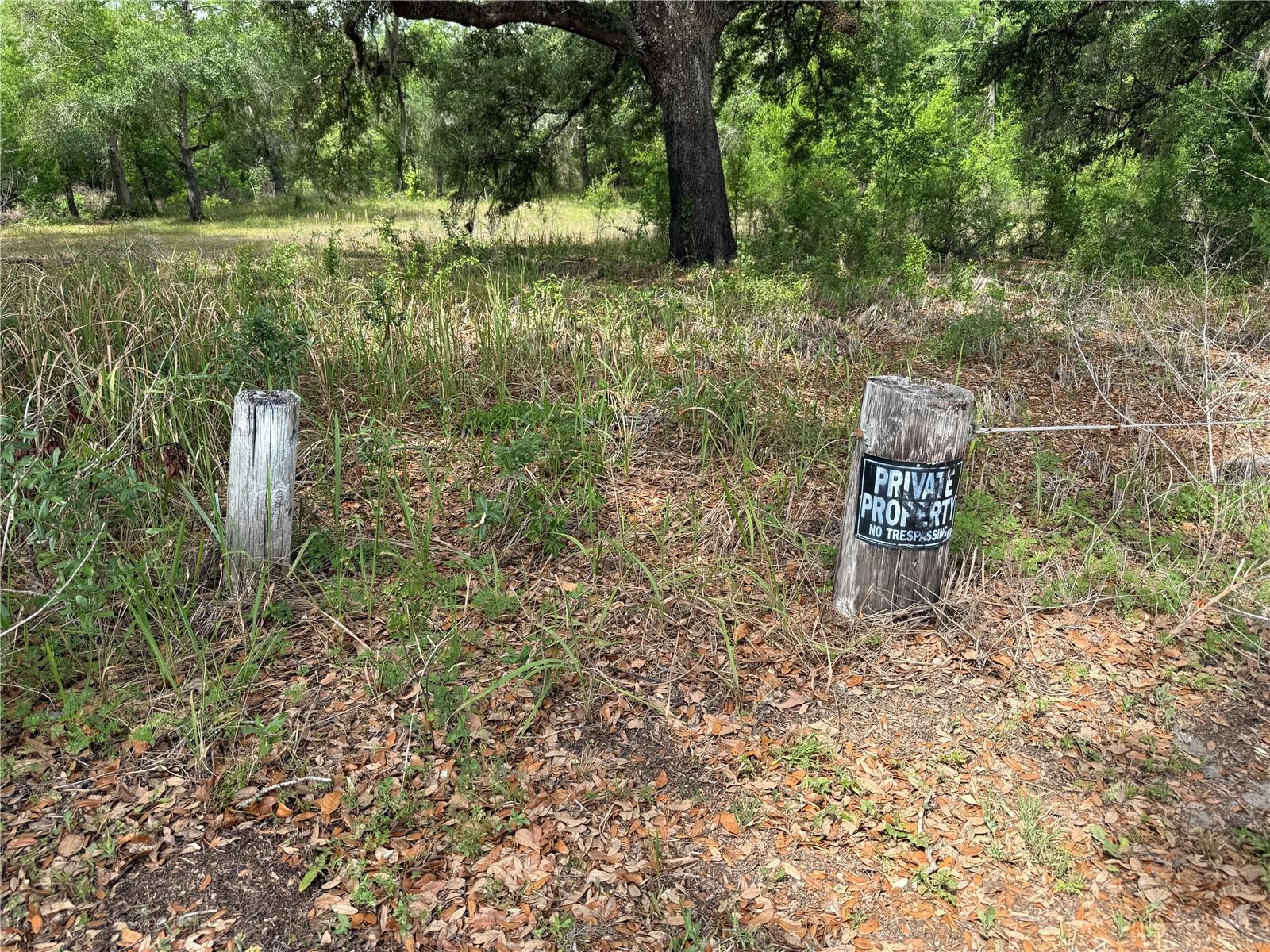 3205 PARK DR, DADE CITY, FL, 33523