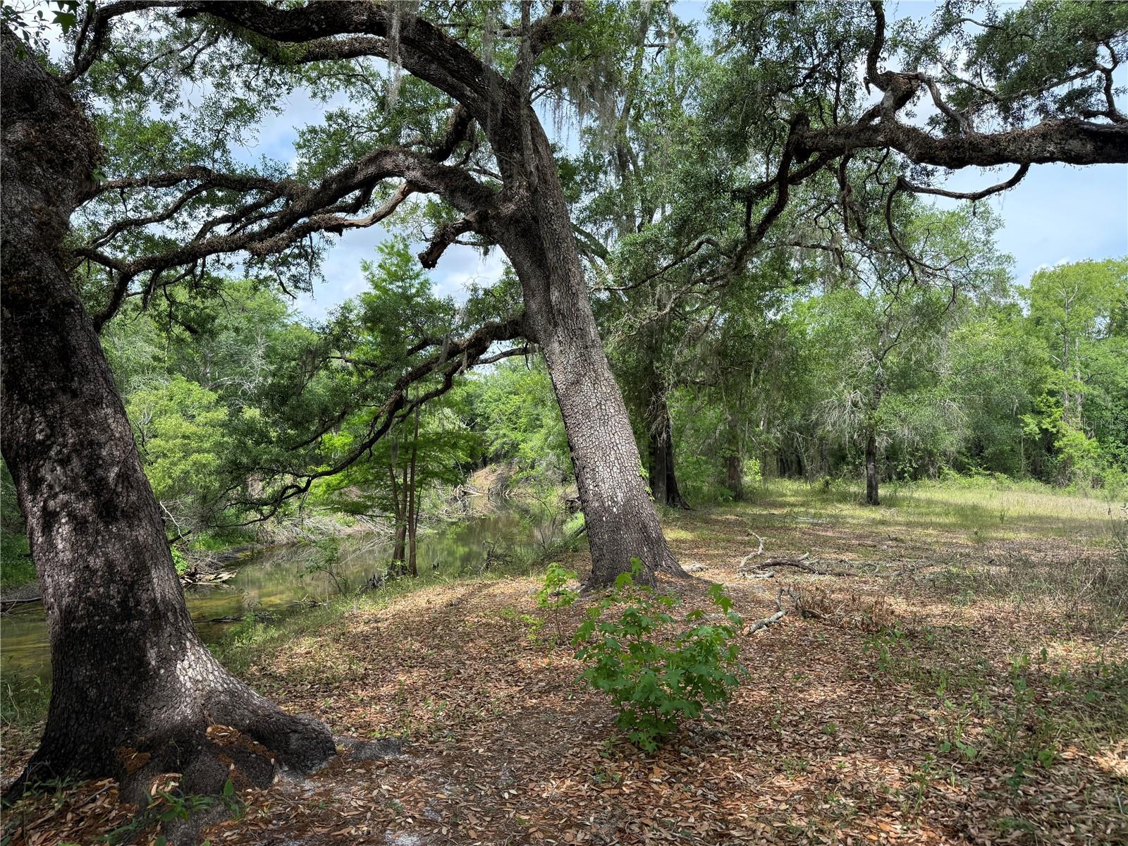 3205 PARK DR, DADE CITY, FL, 33523