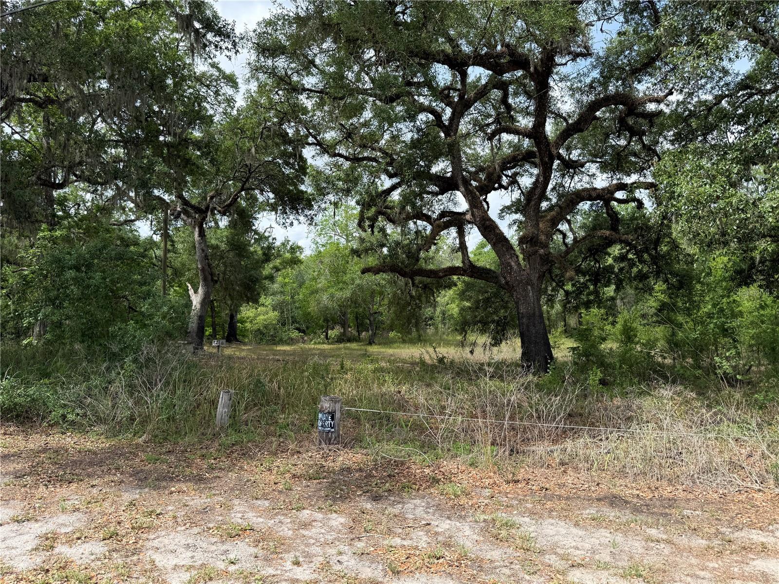 3205 PARK DR, DADE CITY, FL, 33523