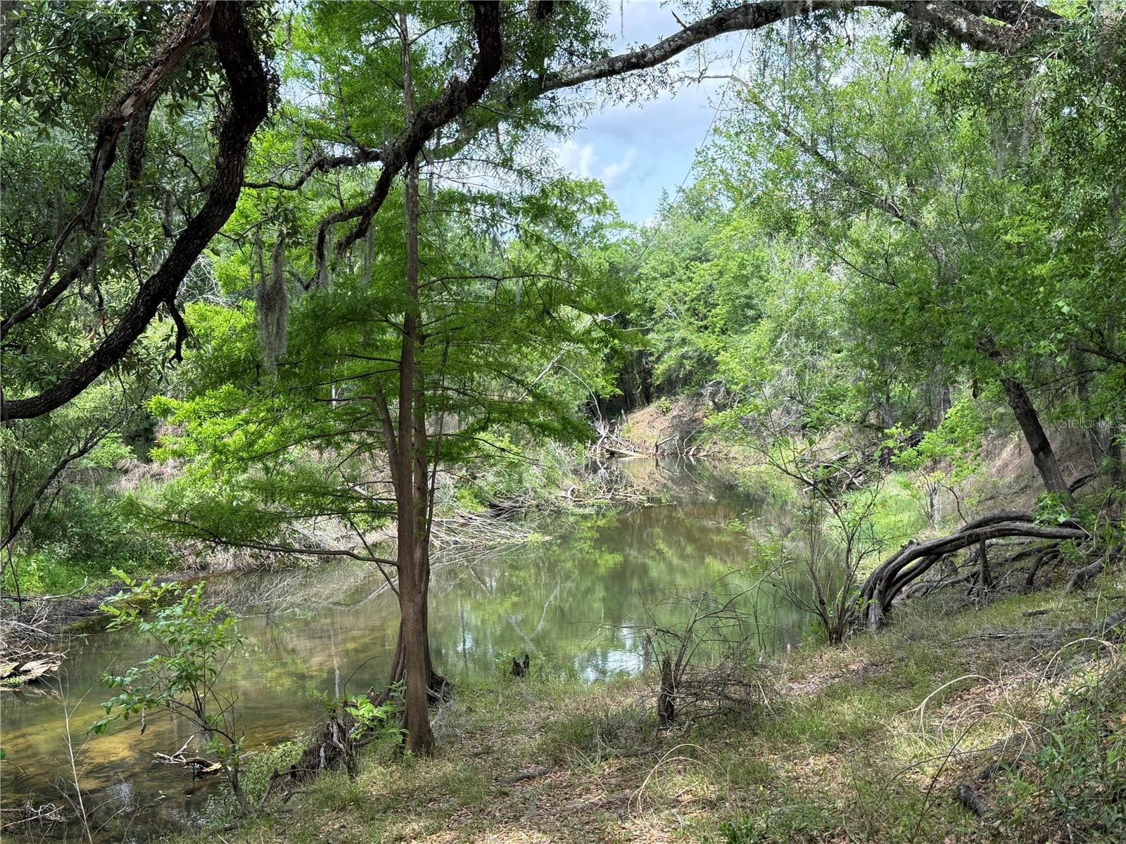 3205 PARK DR, DADE CITY, FL, 33523