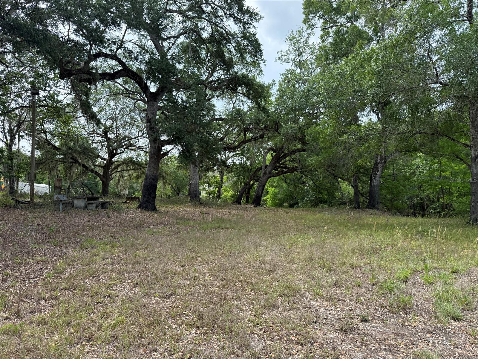 3205 PARK DR, DADE CITY, FL, 33523