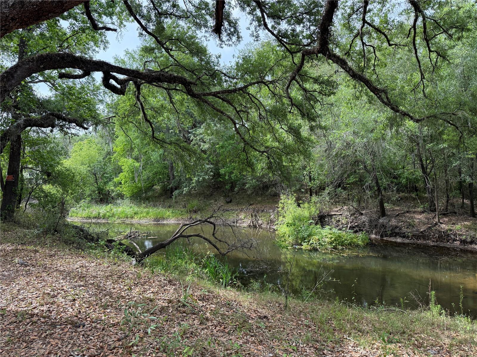 3205 PARK DR, DADE CITY, FL, 33523