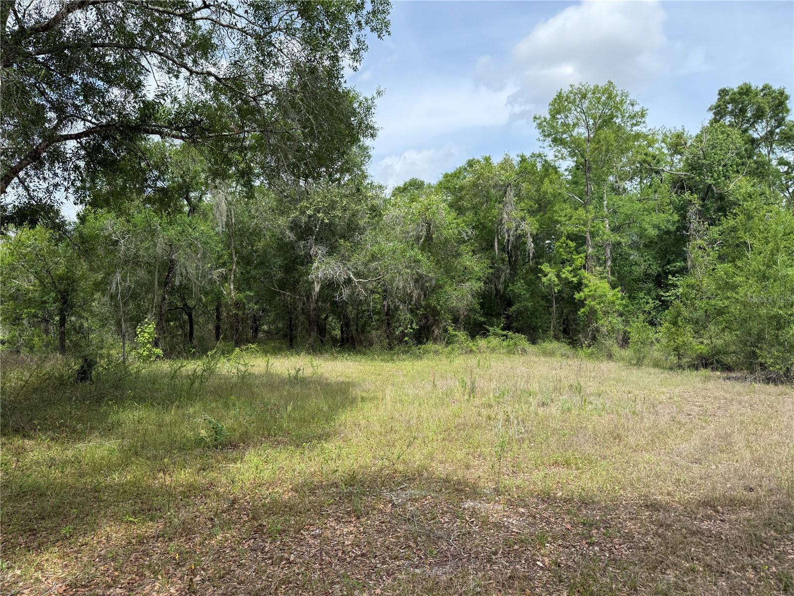 3205 PARK DR, DADE CITY, FL, 33523