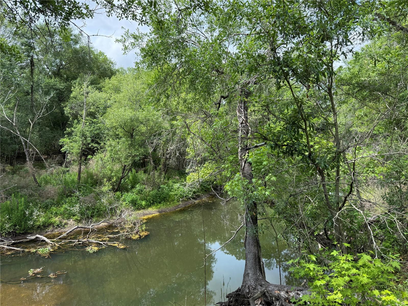 3205 PARK DR, DADE CITY, FL, 33523