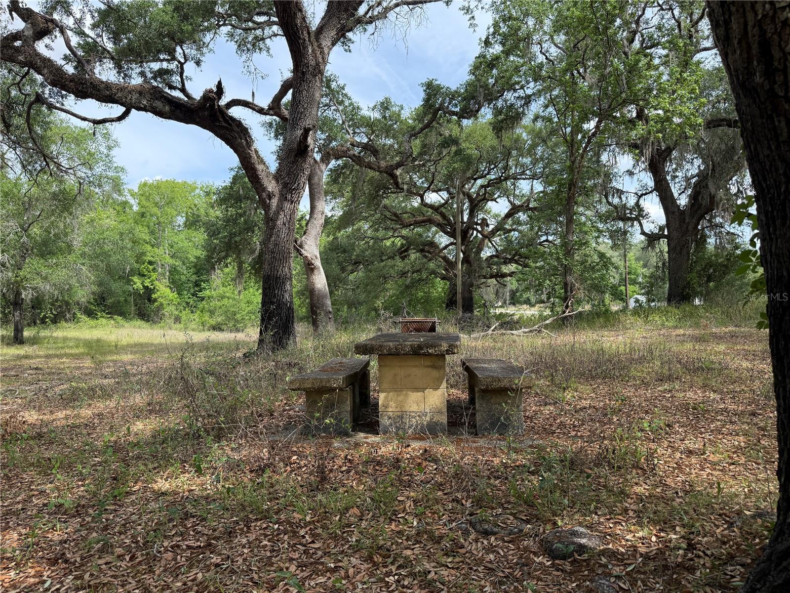 3205 PARK DR, DADE CITY, FL, 33523