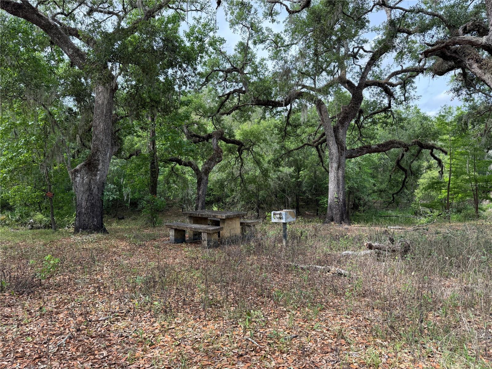 3205 PARK DR, DADE CITY, FL, 33523