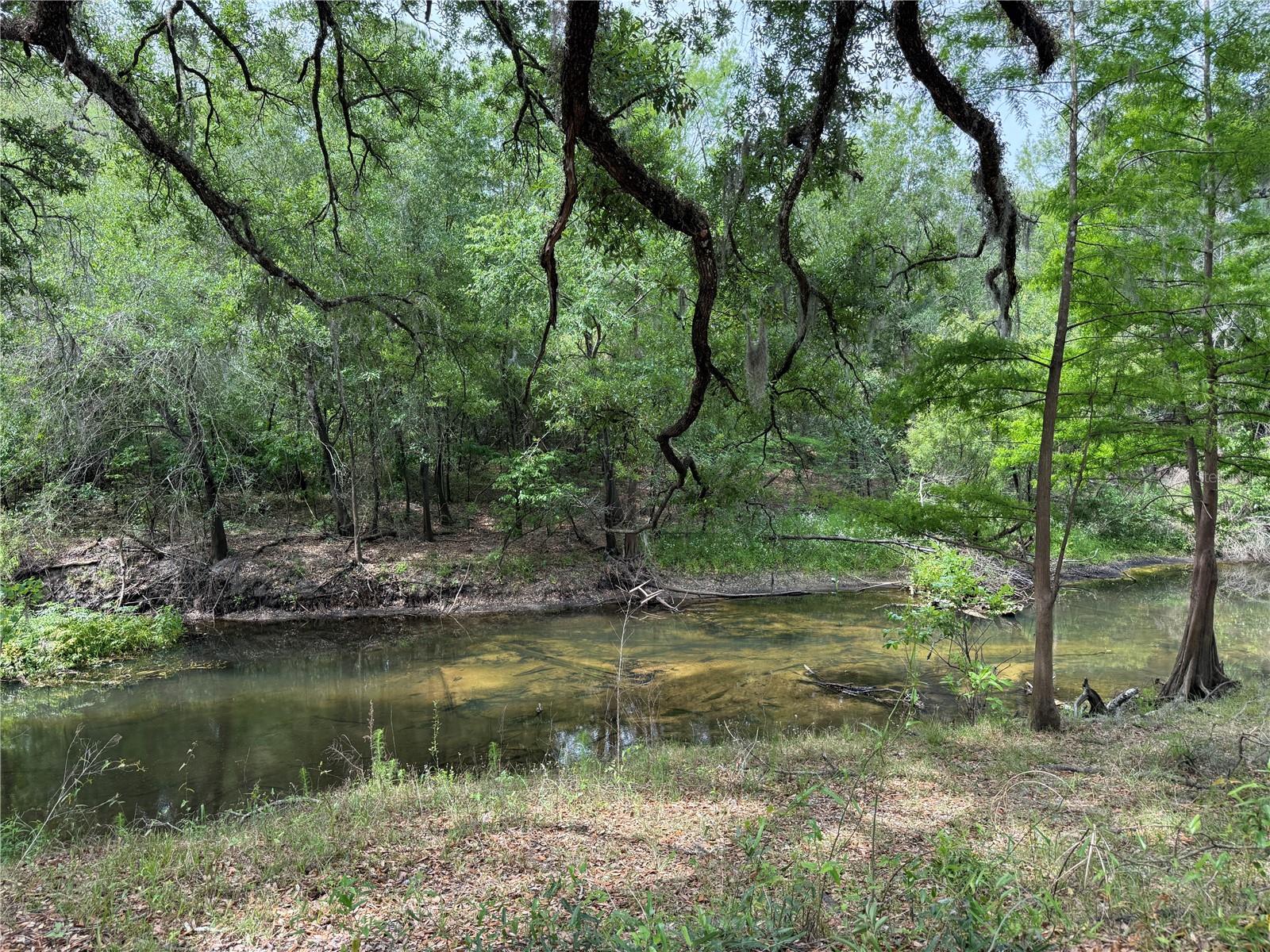 3205 PARK DR, DADE CITY, FL, 33523