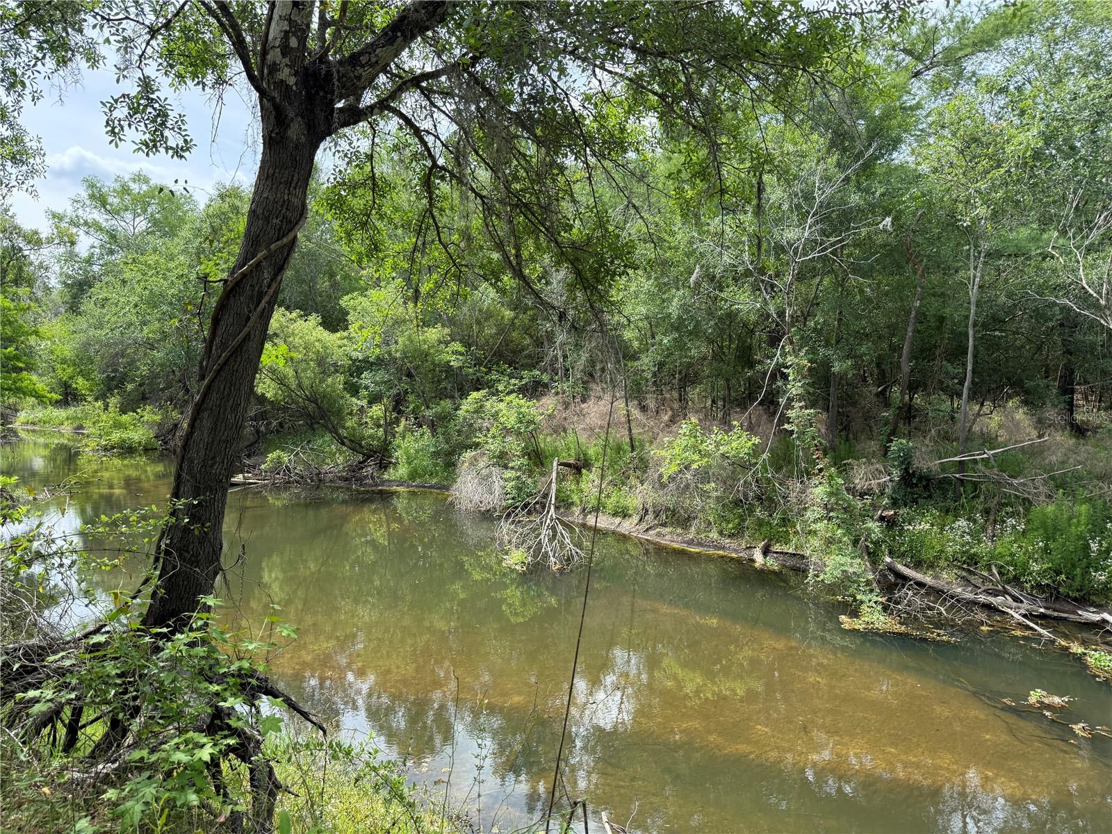 3205 PARK DR, DADE CITY, FL, 33523