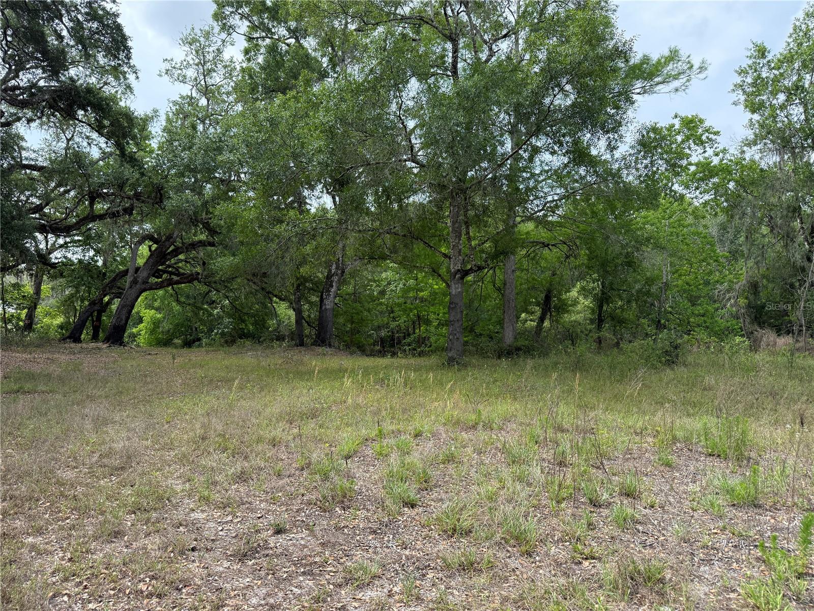 3205 PARK DR, DADE CITY, FL, 33523