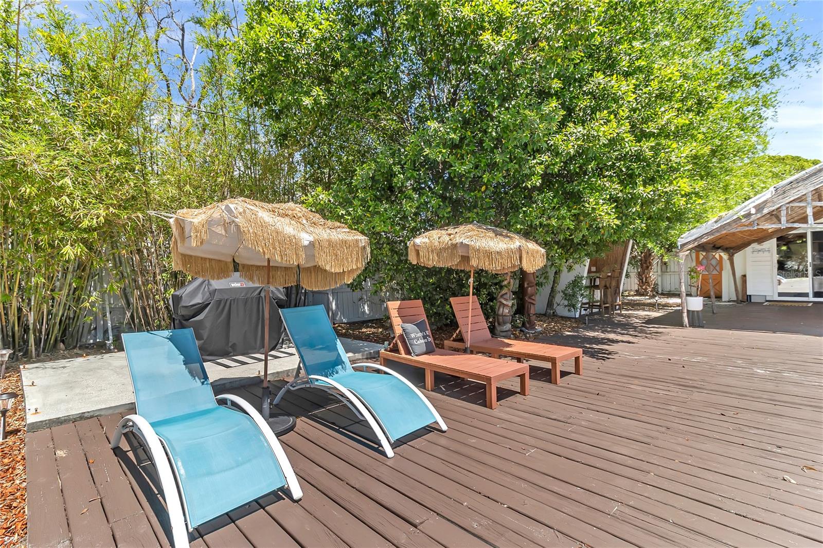 3560 MARTIN AVE, MOUNT DORA, FL, 32757