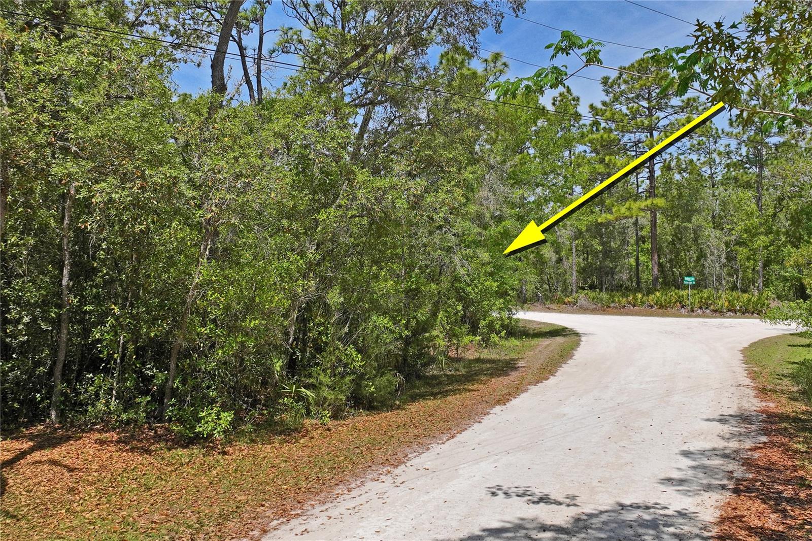 0 YELLOWSTONE AVE, WEEKI WACHEE, FL, 34614