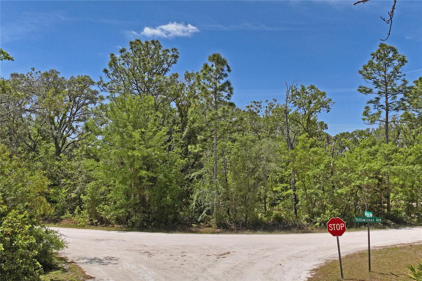 0 YELLOWSTONE AVE, WEEKI WACHEE, FL, 34614