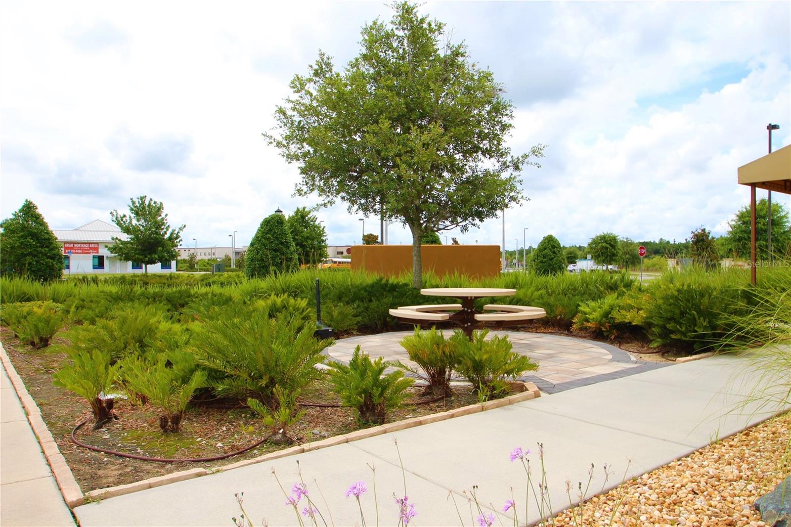 20701 BRUCE B DOWNS BLVD #209, TAMPA, FL, 33647