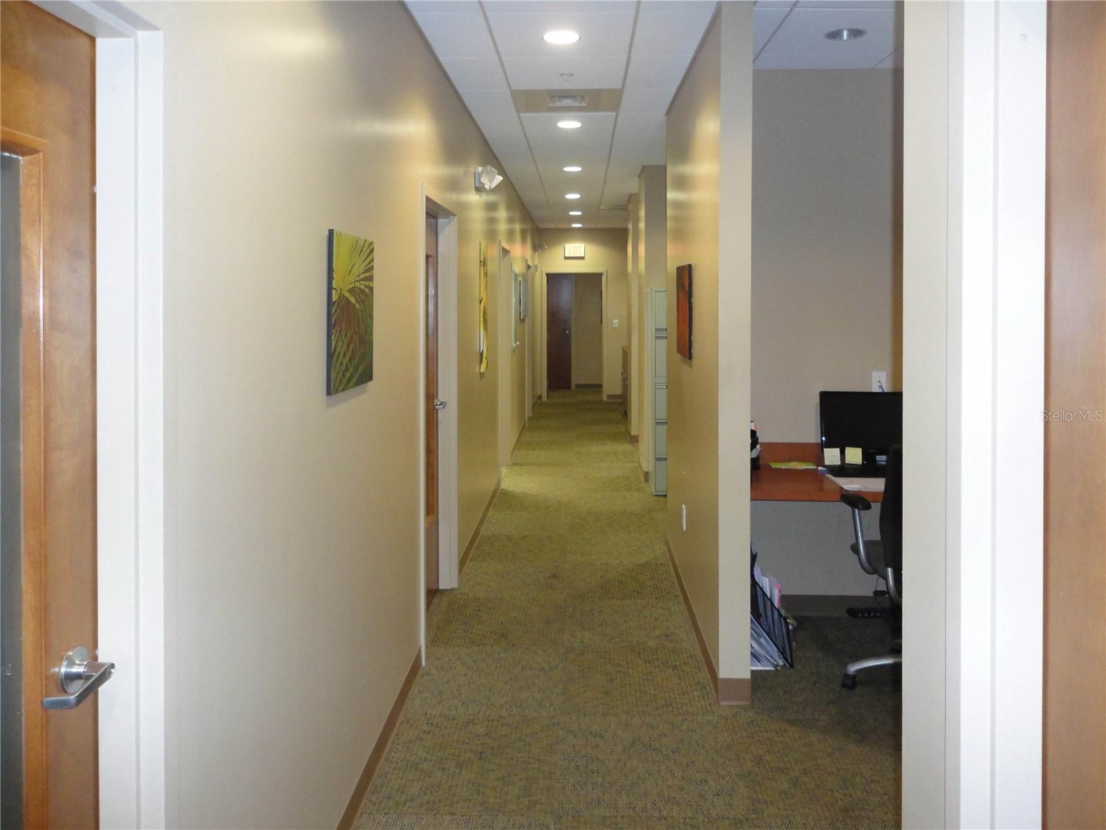 20701 BRUCE B DOWNS BLVD #209, TAMPA, FL, 33647