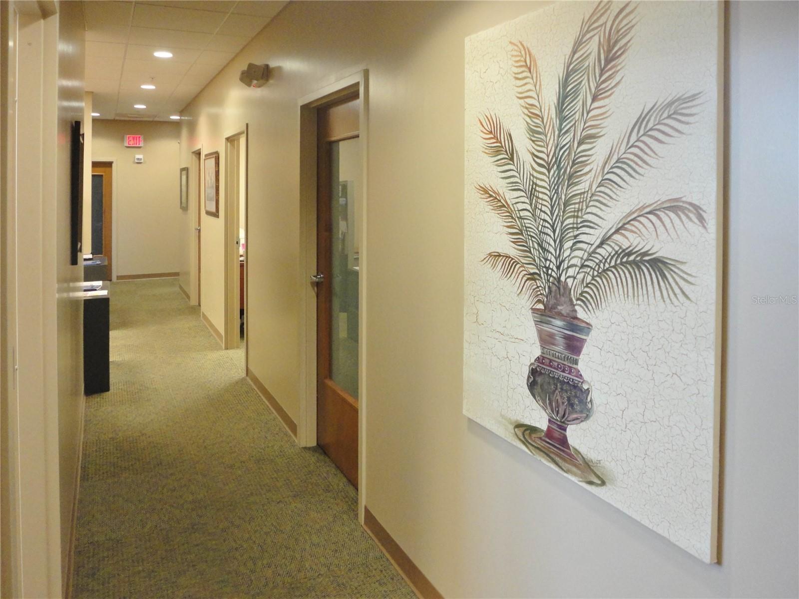 20701 BRUCE B DOWNS BLVD #209, TAMPA, FL, 33647