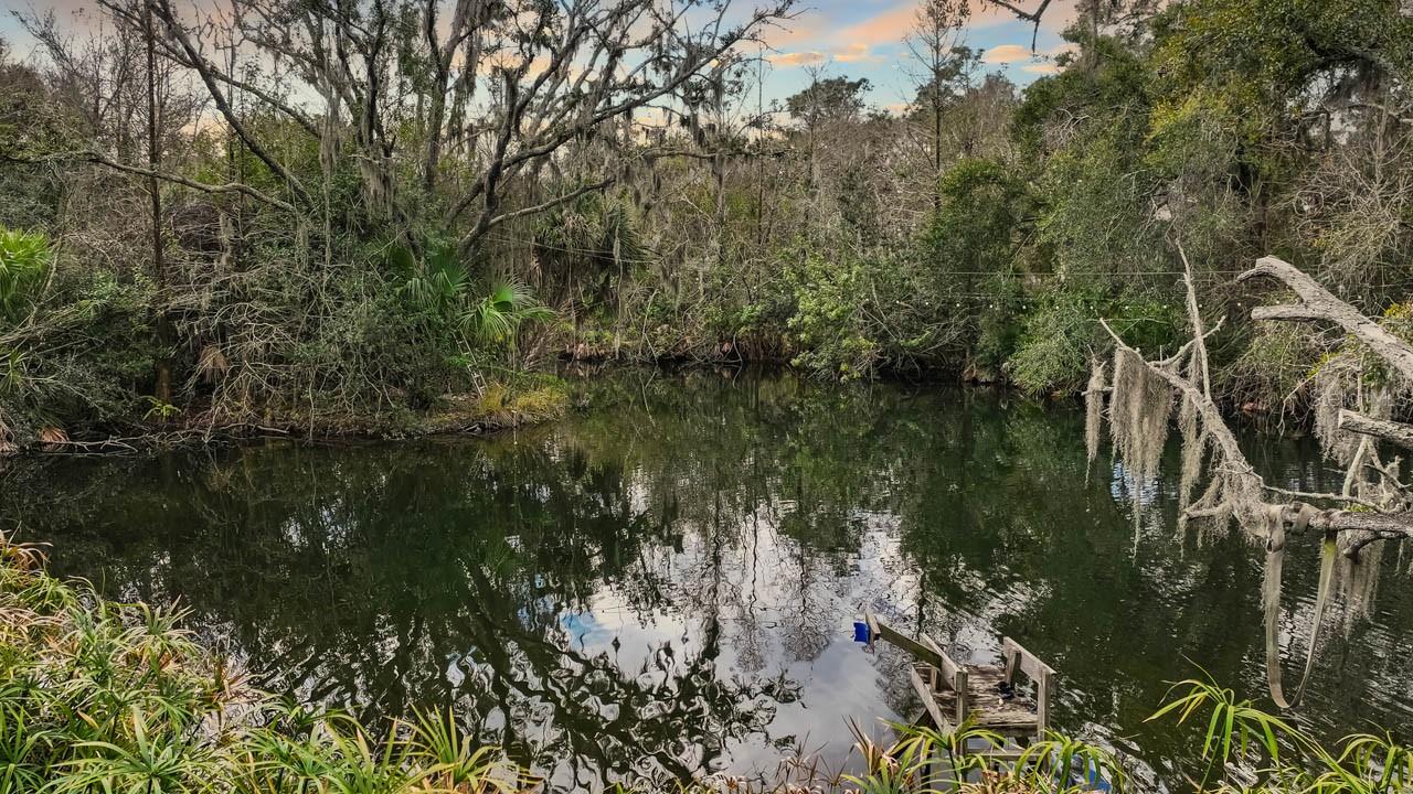 12730 BULLFROG CREEK RD, GIBSONTON, FL, 33534