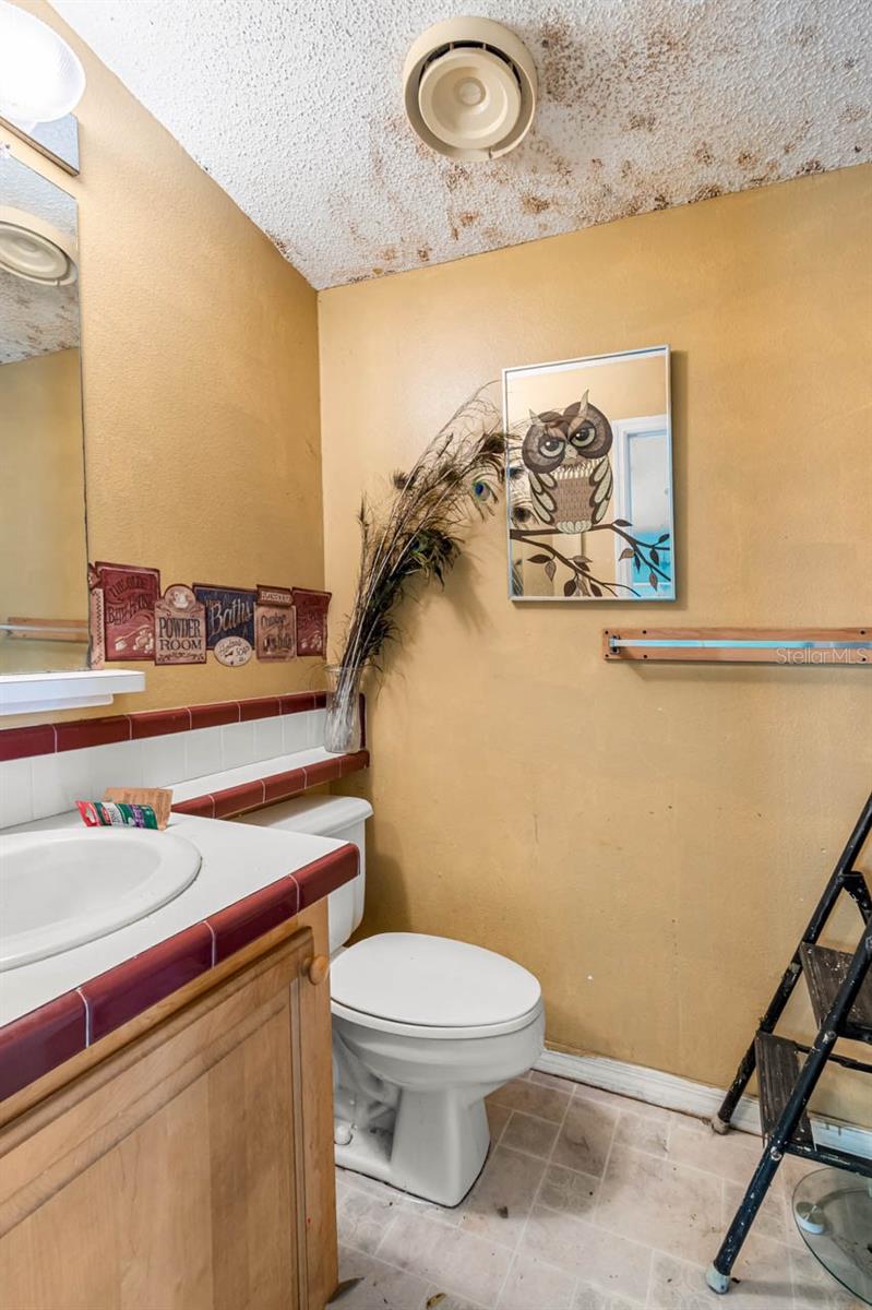 12730 BULLFROG CREEK RD, GIBSONTON, FL, 33534