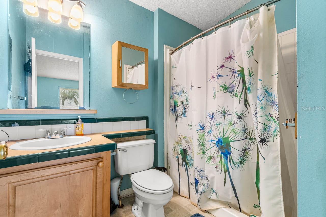 12730 BULLFROG CREEK RD, GIBSONTON, FL, 33534