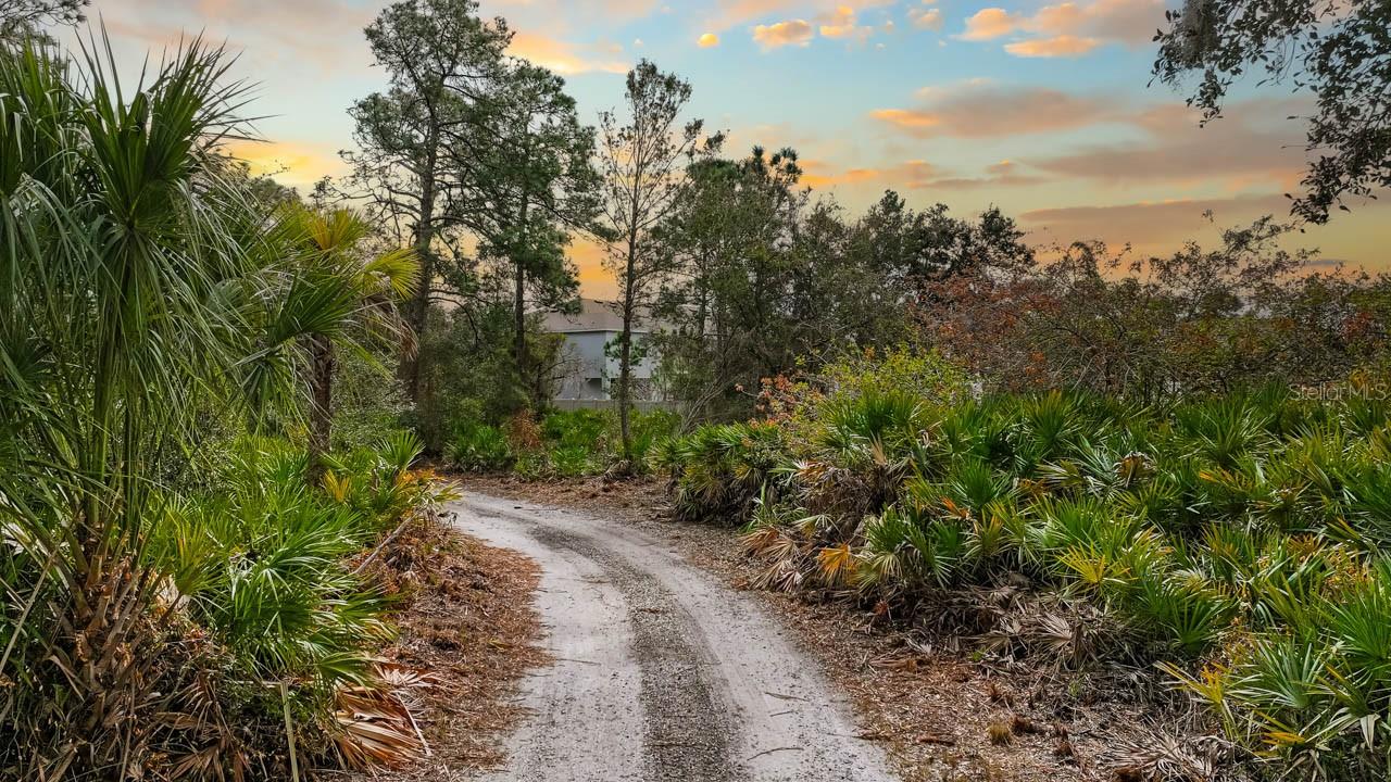12730 BULLFROG CREEK RD, GIBSONTON, FL, 33534