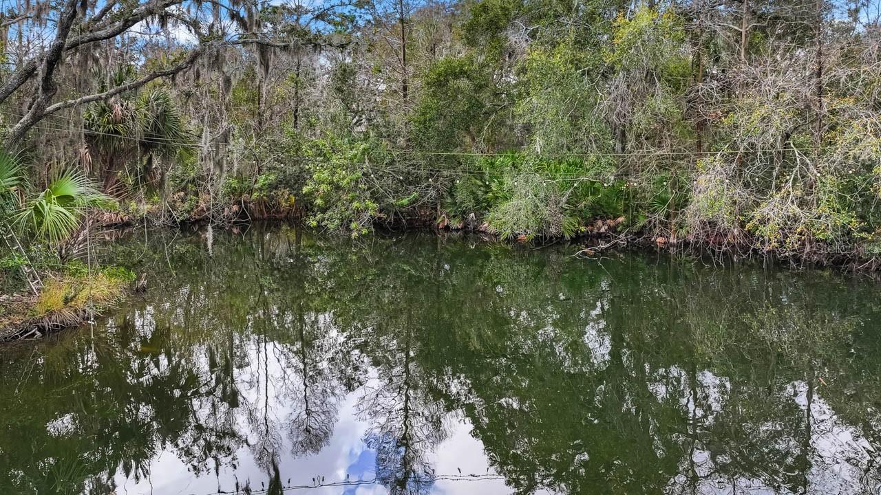 12730 BULLFROG CREEK RD, GIBSONTON, FL, 33534