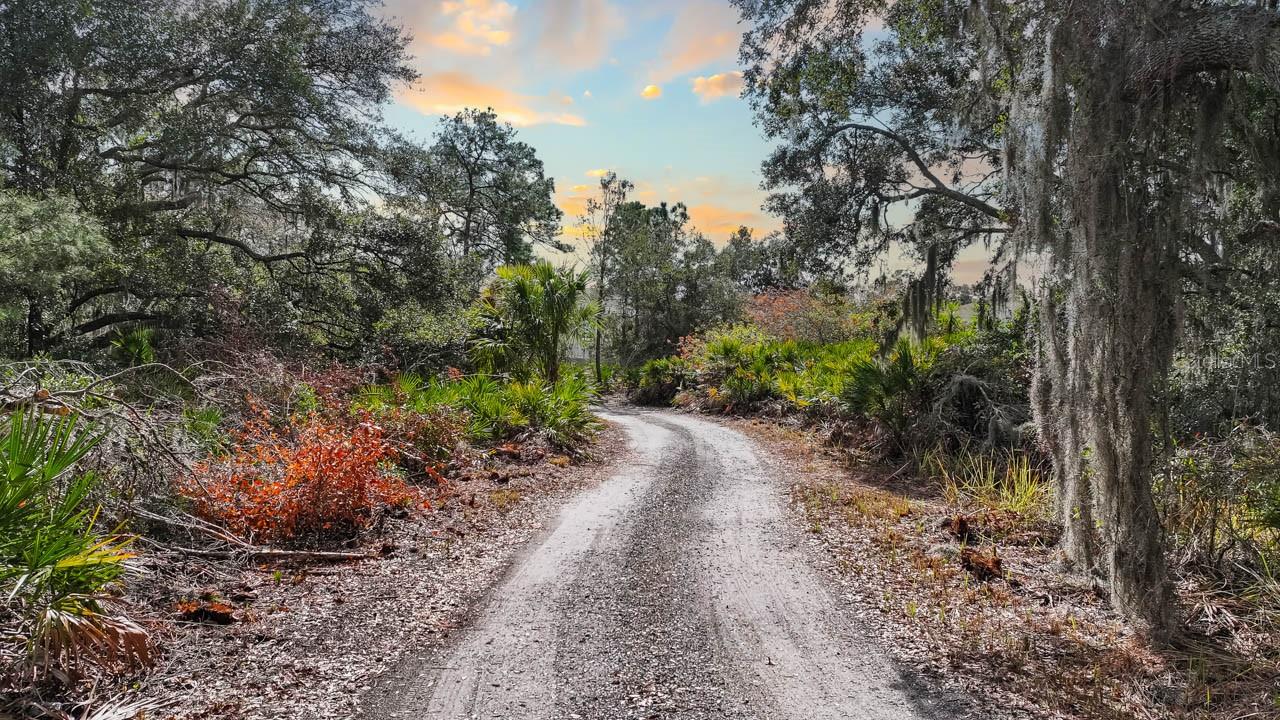 12730 BULLFROG CREEK RD, GIBSONTON, FL, 33534