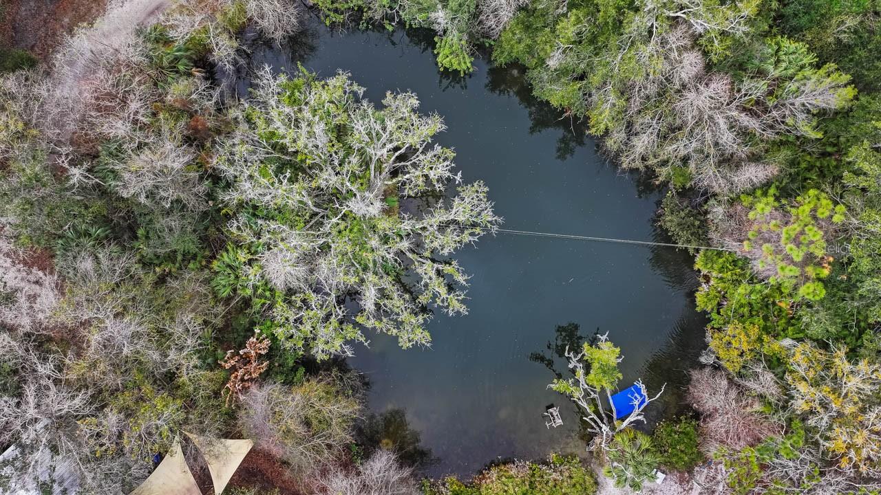 12730 BULLFROG CREEK RD, GIBSONTON, FL, 33534