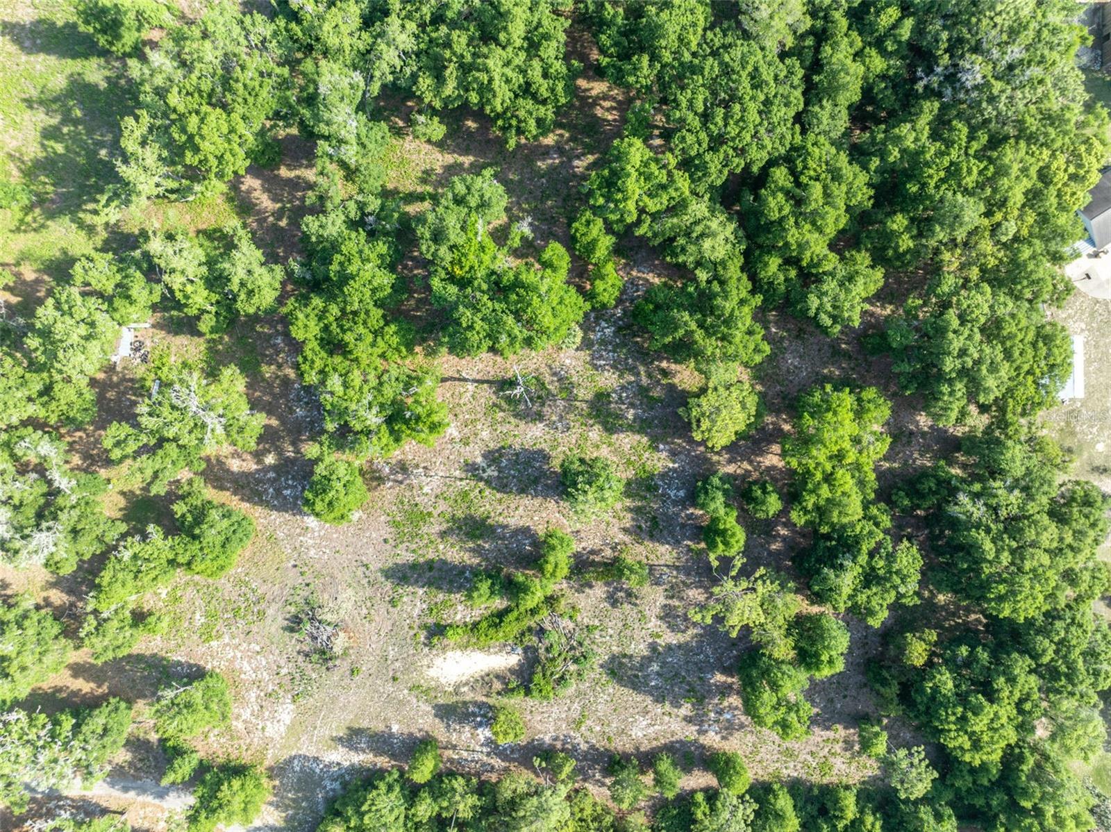 SHADY OAK LN, EUSTIS, FL, 32736