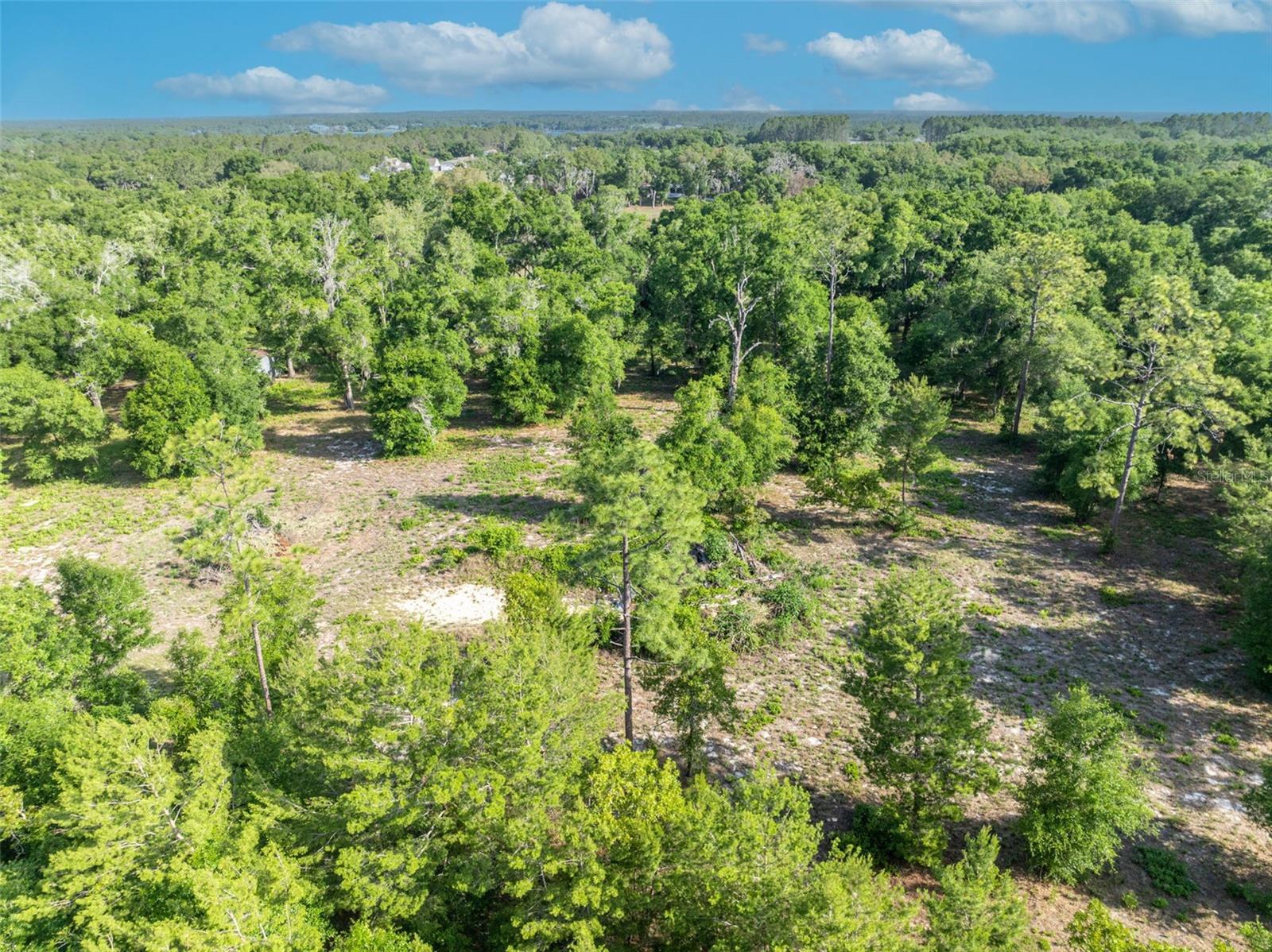 SHADY OAK LN, EUSTIS, FL, 32736