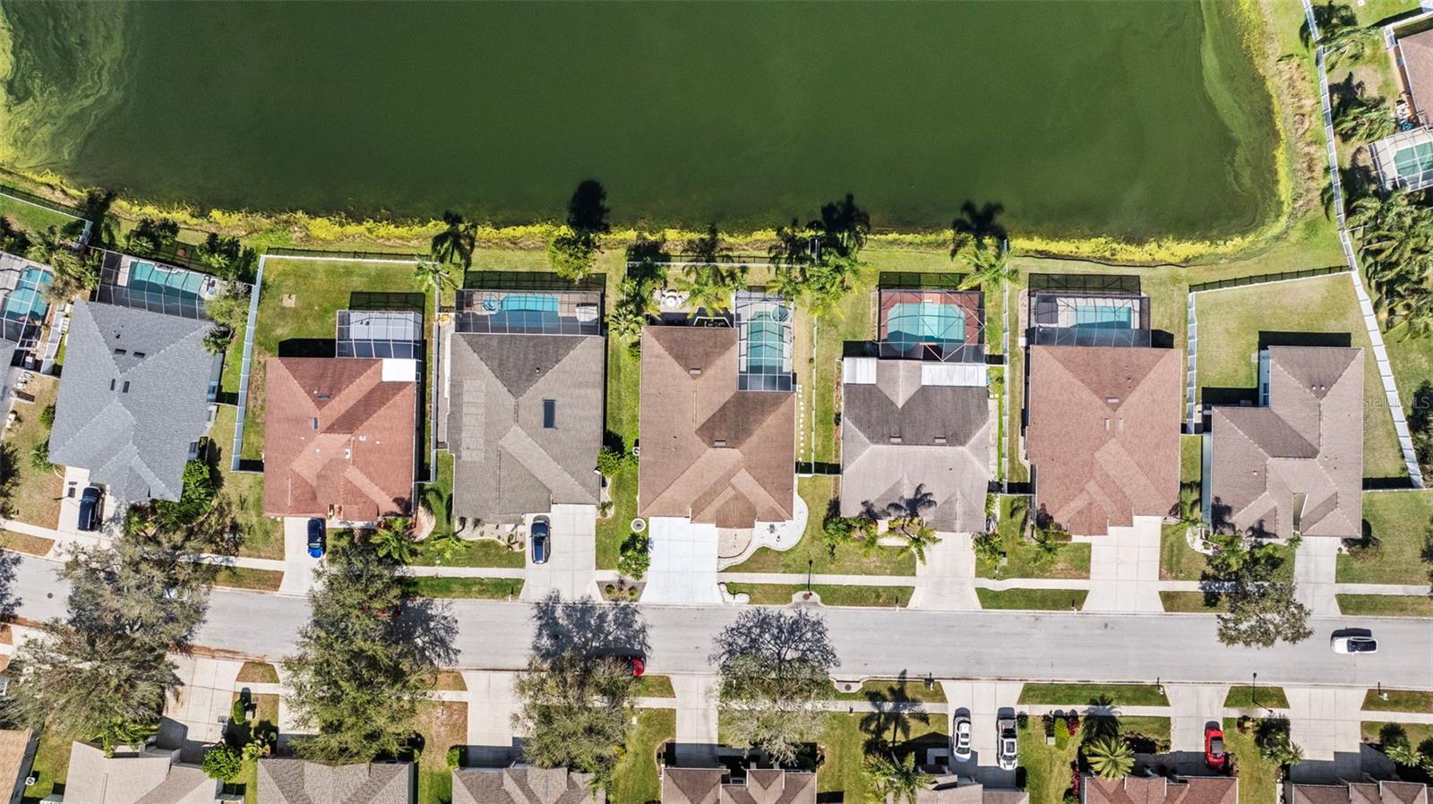 5117 SPECTACULAR BID DR, WESLEY CHAPEL, FL, 33544