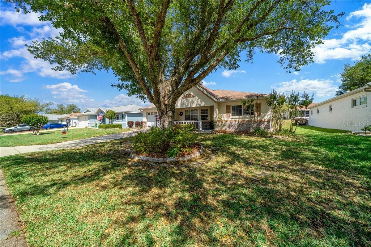 9721 SW 97TH LN, OCALA, FL, 34481