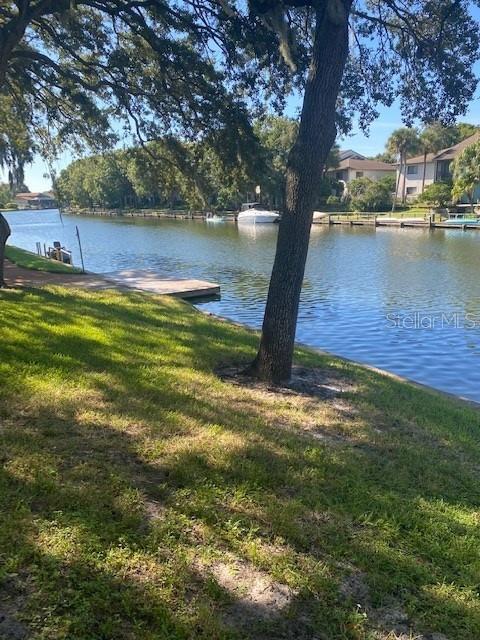 6301 NEWTOWN CIR #1A3, TAMPA, FL, 33615