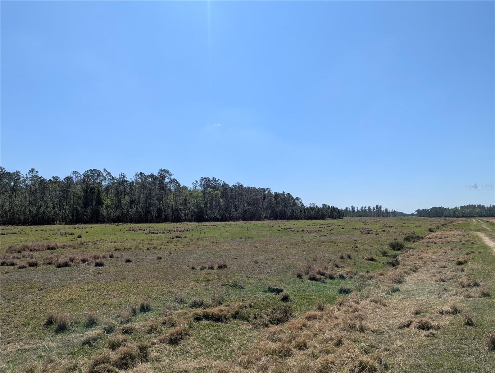 DEEN STILL RD E, POLK CITY, FL, 33868